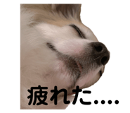 740374444