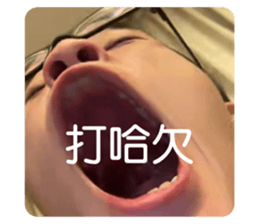 740398981