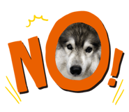 740410014