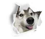740410015