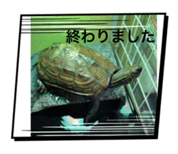 740465087