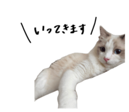 740485091