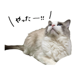 740485095
