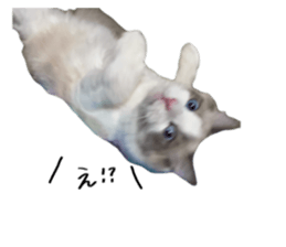 740485102