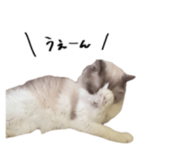 740485109