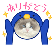 740493319