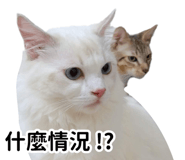 740503500