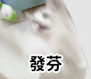 740503506
