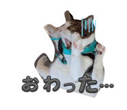 740511350