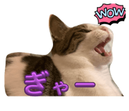 740511351