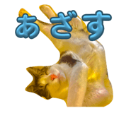 740511354