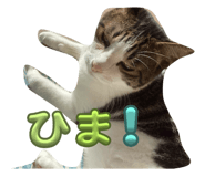 740511357