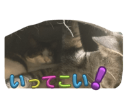 740511360