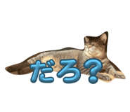 740511363