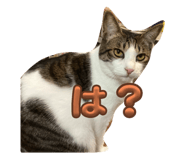 740511364
