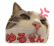 740511368