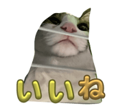 740511369