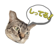 740511372