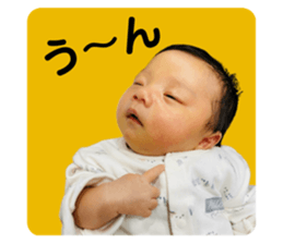 740515827