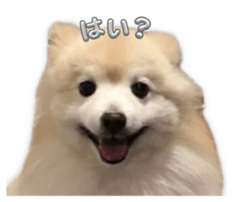 740544137