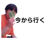 740544605