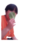 740544607