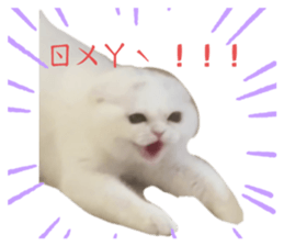 740547844