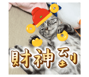 740558556