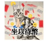 740558560