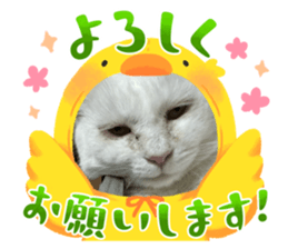 740565452