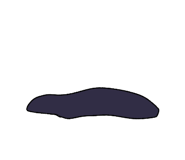 740565794