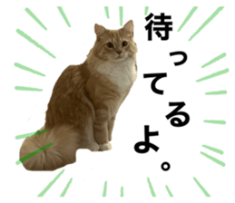 740615657