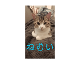 740645932