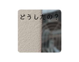 740645937