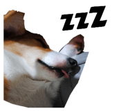 740651566