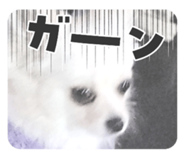 740656723