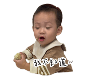 740660865