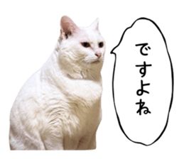 740669008