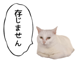 740669017
