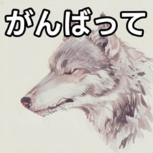740683155