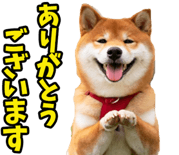 740713761