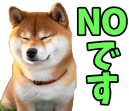 740713764