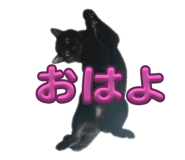 740721297