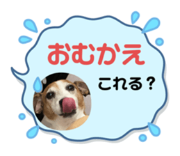 740755069