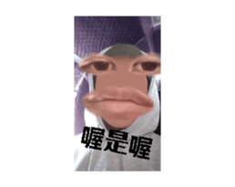 740775937
