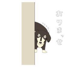 740786955