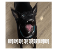 740809545