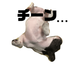 740816442