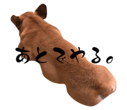 740816463