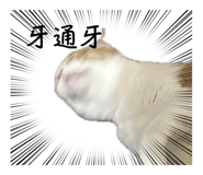 740914600